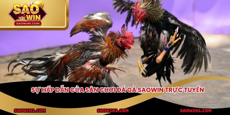 Sự hấp dẫn của sân chơi đá gà Saowin trực tuyến