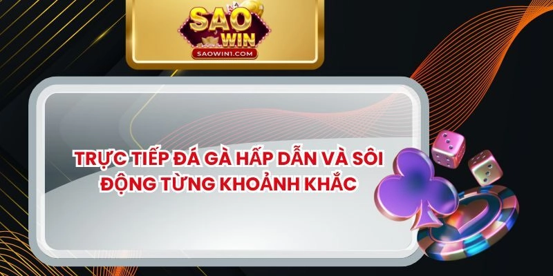 Trực Tiếp Đá Gà Hấp Dẫn Và Sôi Động Từng Khoảnh Khắc